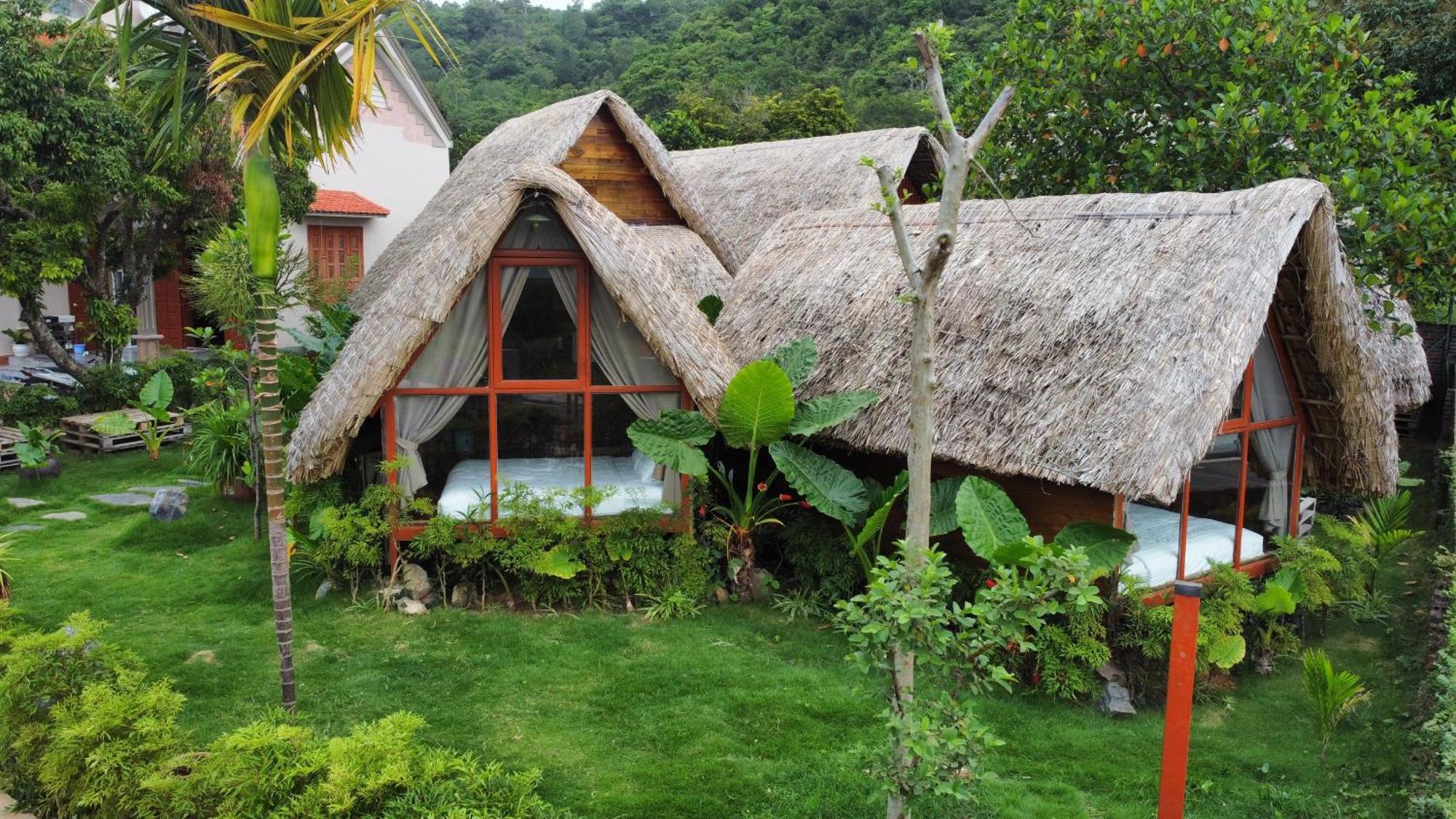 Joystay Lodge *